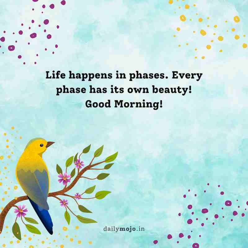 Life happens in phases. Every phase has its own beauty! Good morning!