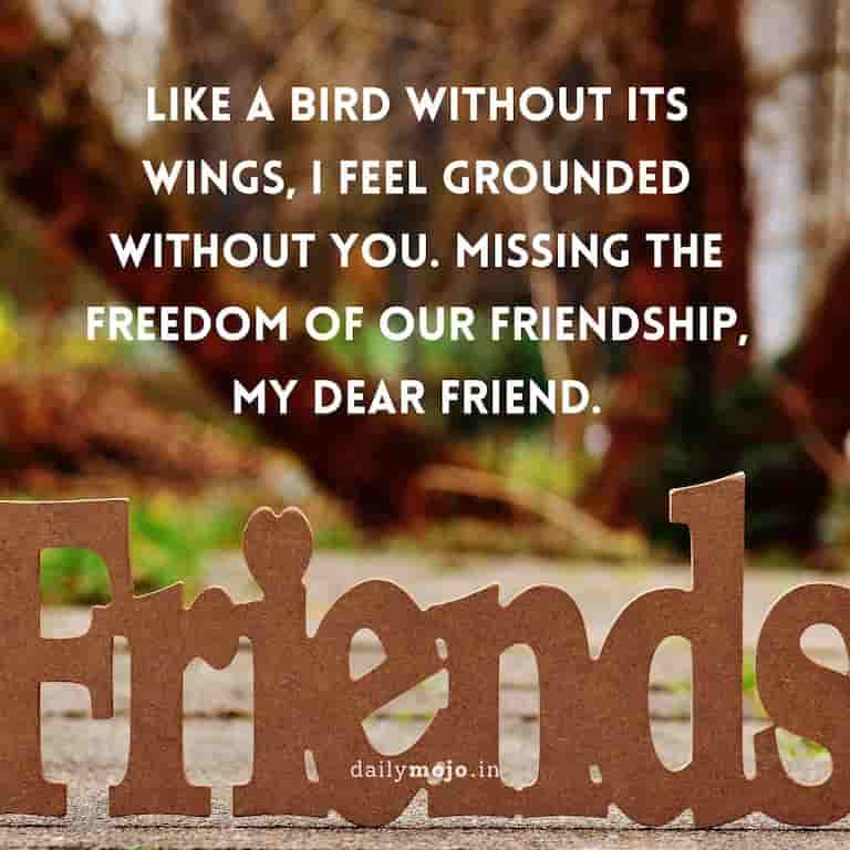 Like a bird without its wings, I feel grounded without you. Missing the freedom of our friendship, my dear friend