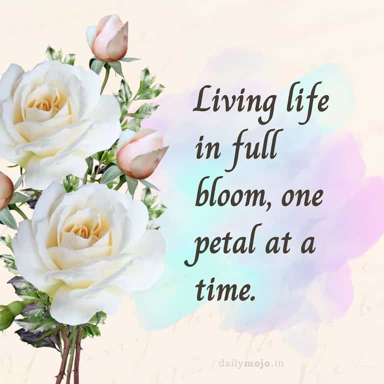 Living life in full bloom, one petal at a time