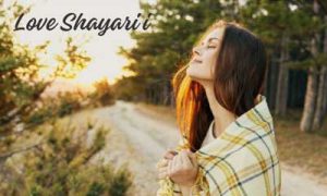 Beautiful Love Shayari in Hindi with Images