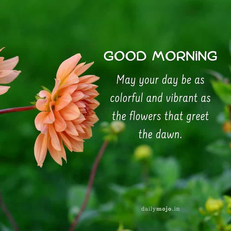 May your day be as colorful and vibrant as the flowers that greet the dawn. Good morning!