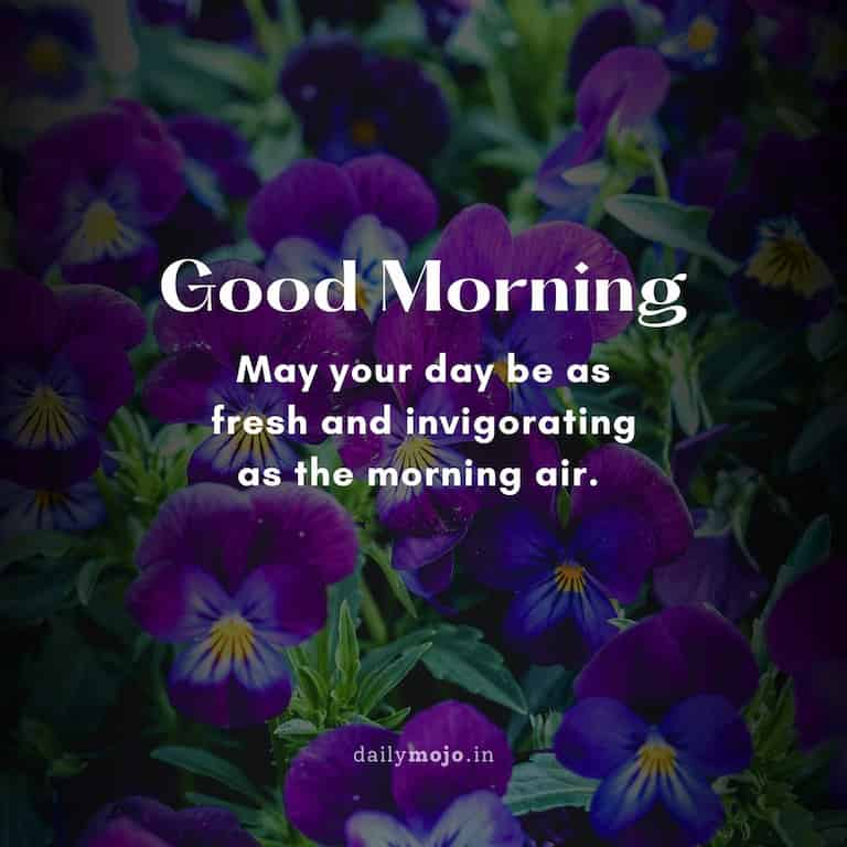 May your day be as fresh and invigorating as the morning air. Good morning!