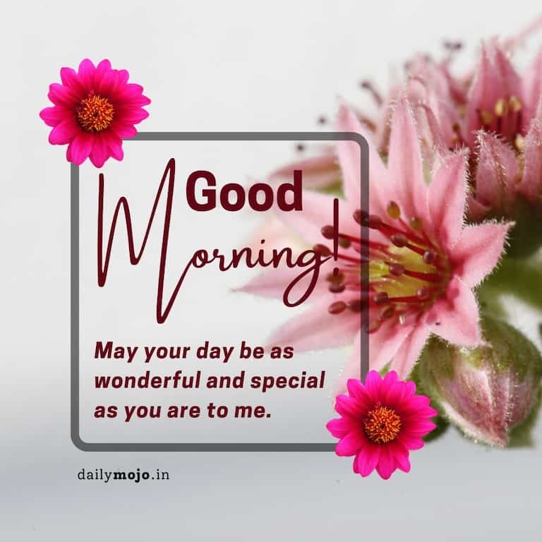 Special good morning message - May your day be as wonderful and special as you are to me.