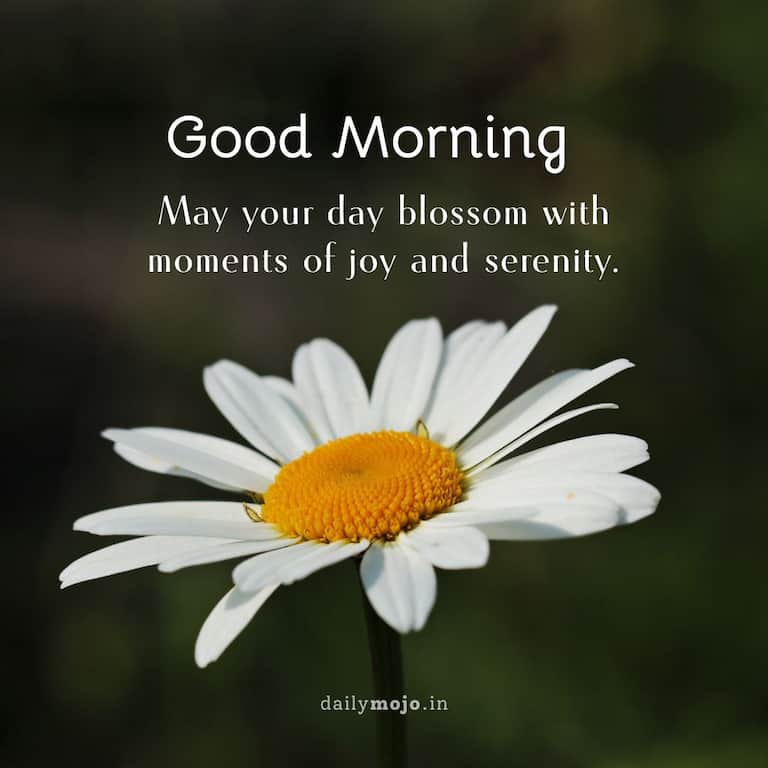 May your day blossom with moments of joy and serenity. Good morning!