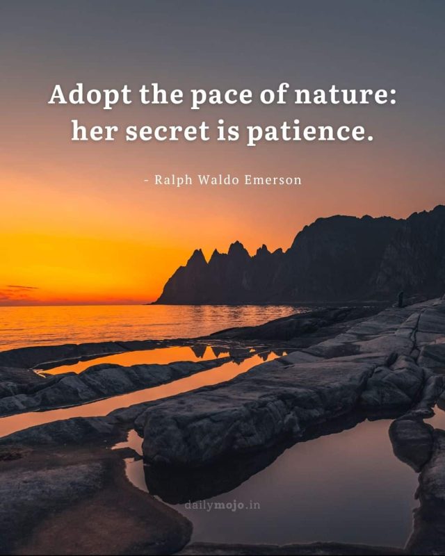 Adopt the pace of nature: her secret is patience