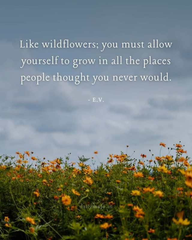 Like wildflowers; you must allow yourself to grow in all the places people thought you never would