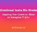 Motivational Insta Bio Students – Inspiring One-Liners to Shine on Instagram