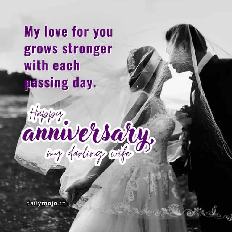 My love for you grows stronger with each passing day. Happy anniversary, my darling wife.