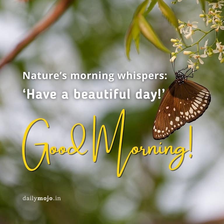 Nature's morning whispers: 'Have a beautiful day!' Good morning!