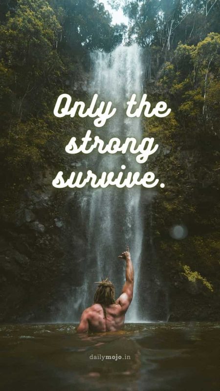 Only the strong survive