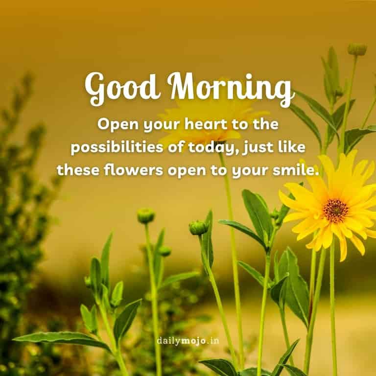 Open your heart to the possibilities of today, just like these flowers open to your smile. Good morning!
