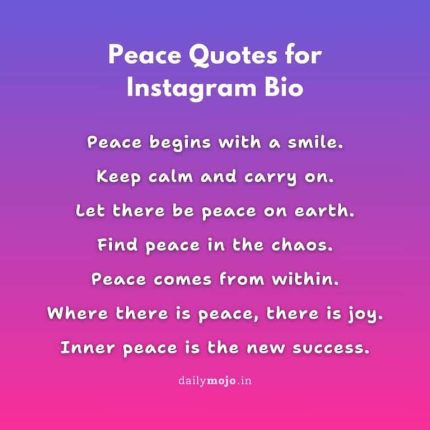 Best 350+ Quotes for Instagram Bio to Stand Out on Insta