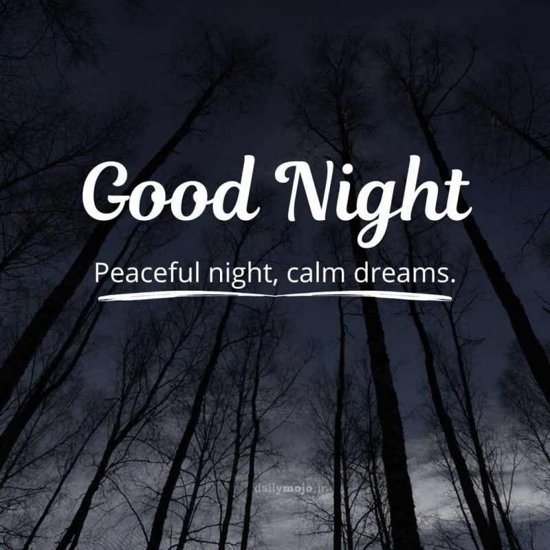 A Forest in dusk with message Peaceful night, calm dreams