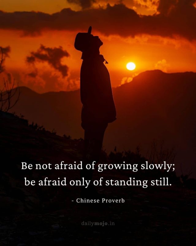 Be not afraid of growing slowly; be afraid only of standing still