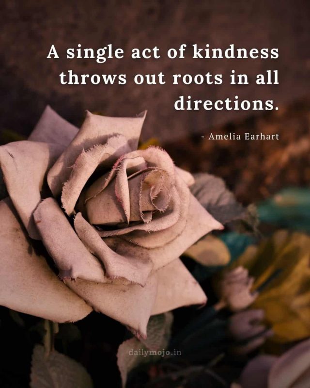 A single act of kindness throws out roots in all directions