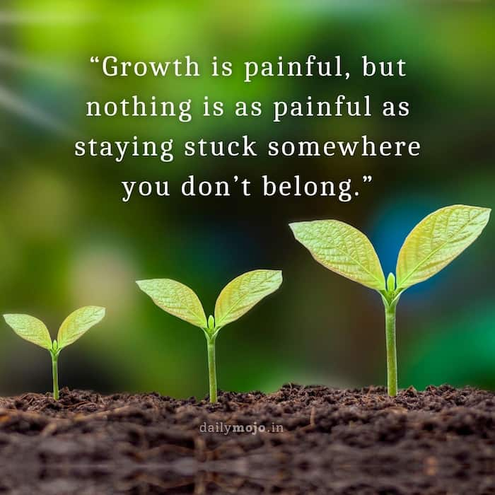 Growth is painful, but nothing is as painful as staying stuck somewhere you don’t belong