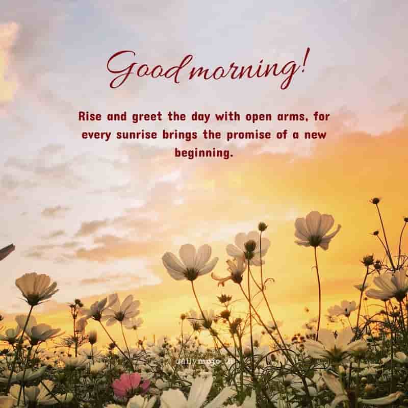 Rise and greet the day with open arms, for every sunrise brings the promise of a new beginning. Good morning!