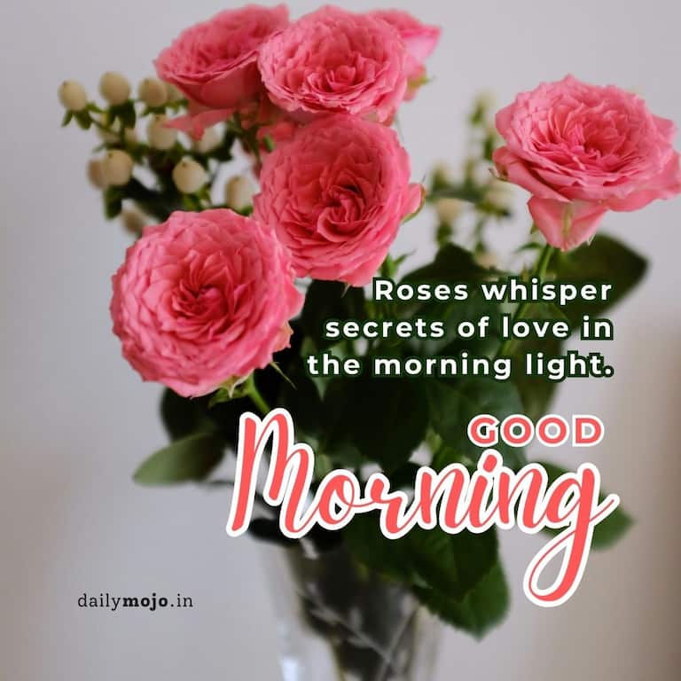 Roses whisper secrets of love in the morning light. Good morning