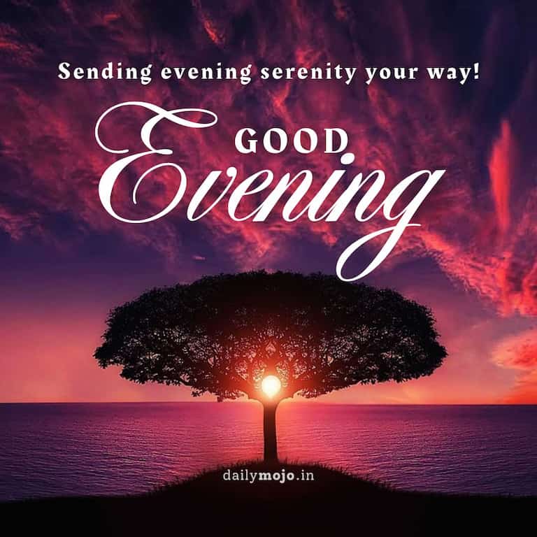 Good evening! Sending evening serenity your way