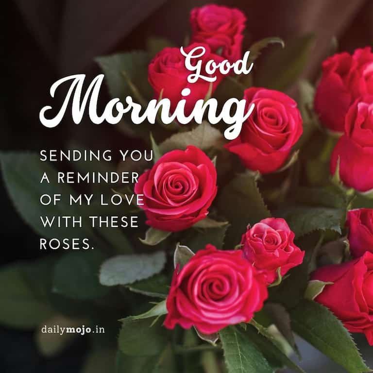 Sending you a reminder of my love with these roses. Good morning!