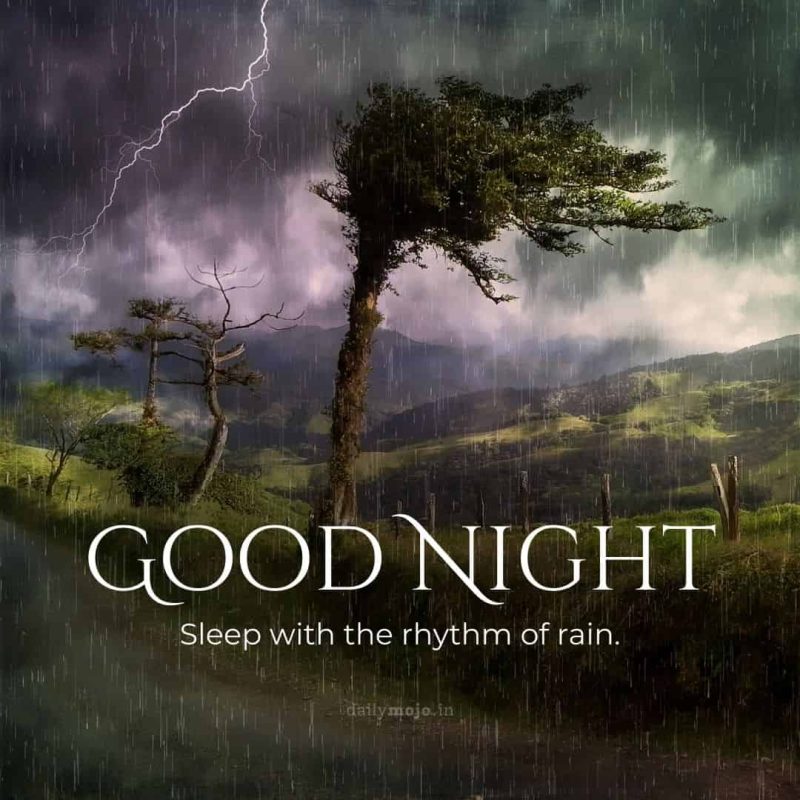 good night quote image