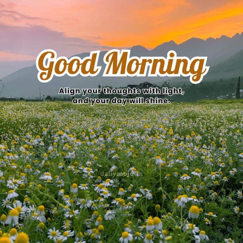Good morning! Align your thoughts with light, and your day will shine.