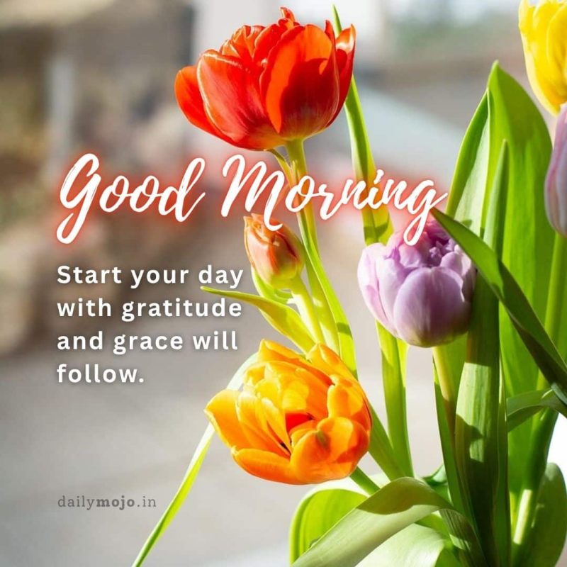 Good morning. Start your day with gratitude and grace will follow.