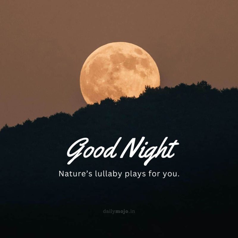 moon image with good night quote