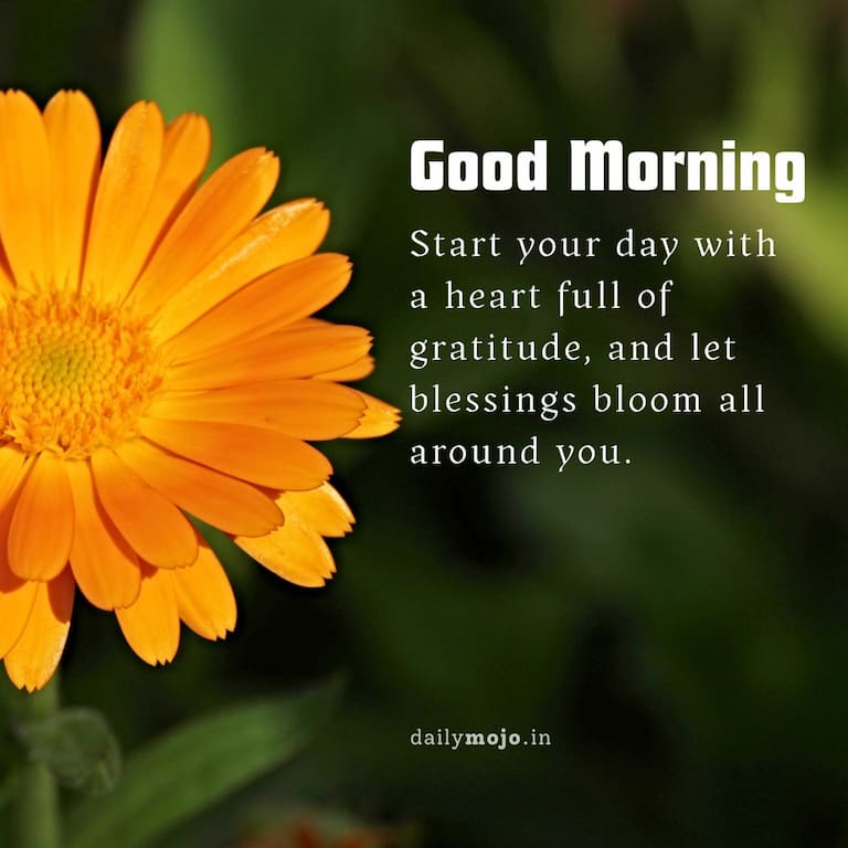 Start your day with a heart full of gratitude, and let blessings bloom all around you. Good morning!