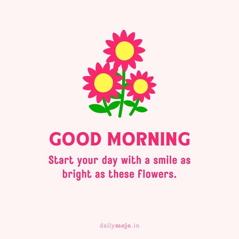 Start your day with a smile as bright as these flowers. Good morning!