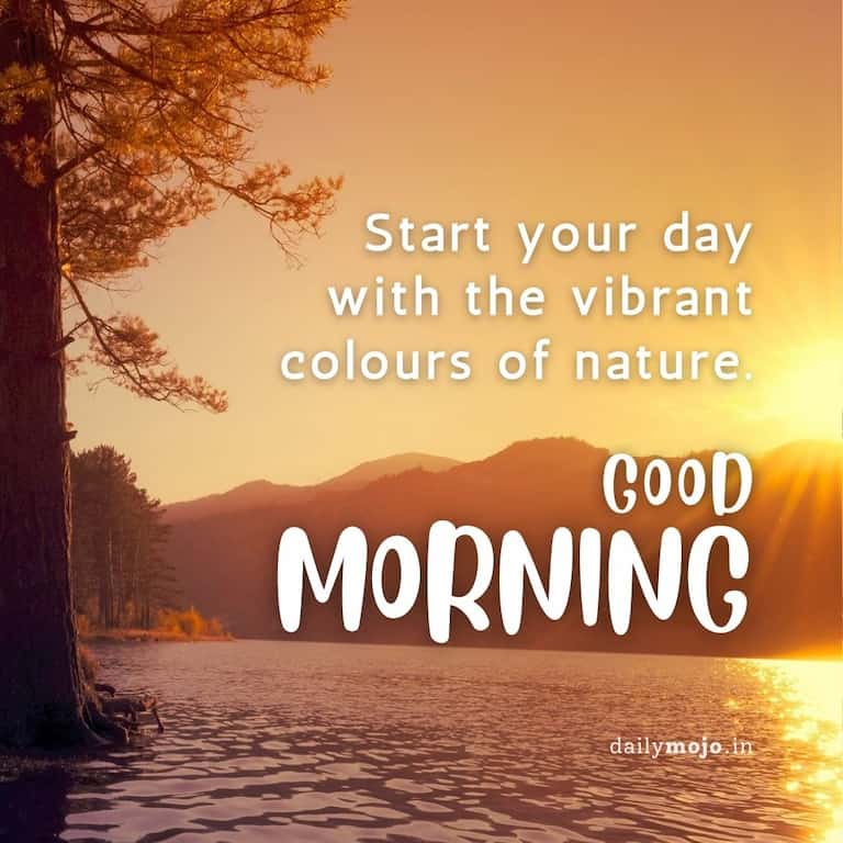 Start your day with the vibrant colours of nature. Good morning!
