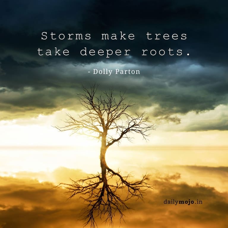 Storms make trees take deeper roots