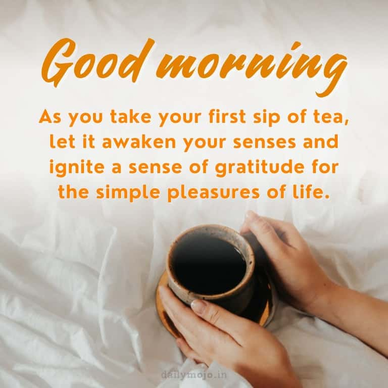 As you take your first sip of tea, let it awaken your senses and ignite a sense of gratitude for the simple pleasures of life. Good Morning