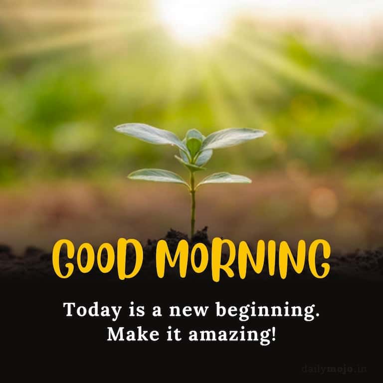 Today is a new beginning. Make it amazing! Good Morning
