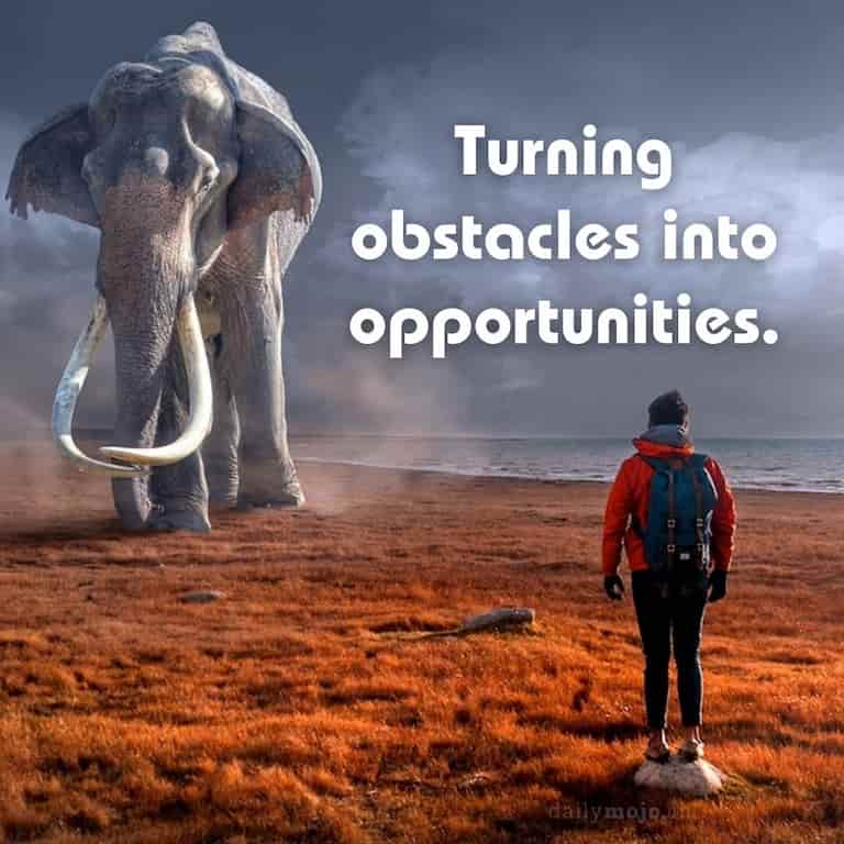 Turning obstacles into opportunities.