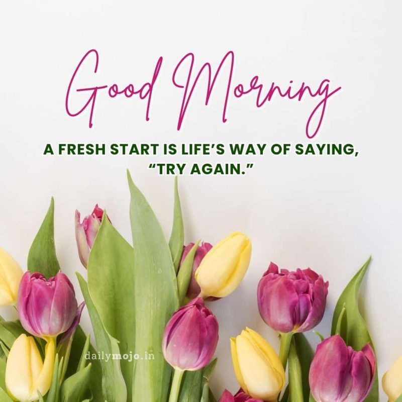 Good morning! A fresh start is life’s way of saying, “Try again.”