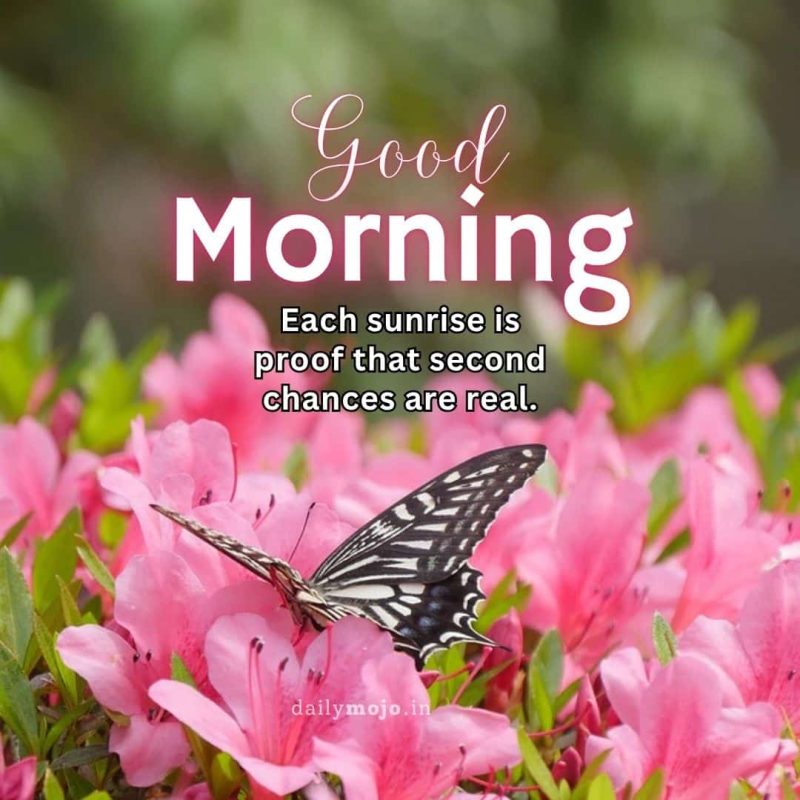 Each sunrise is proof that second chances are real.