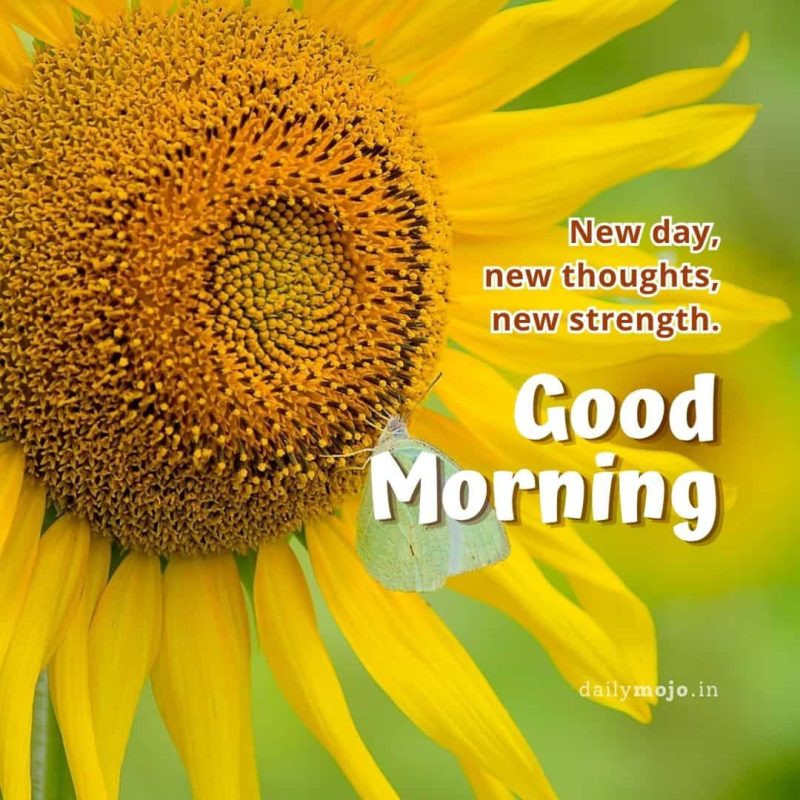 New day, new thoughts, new strength. Good morning!