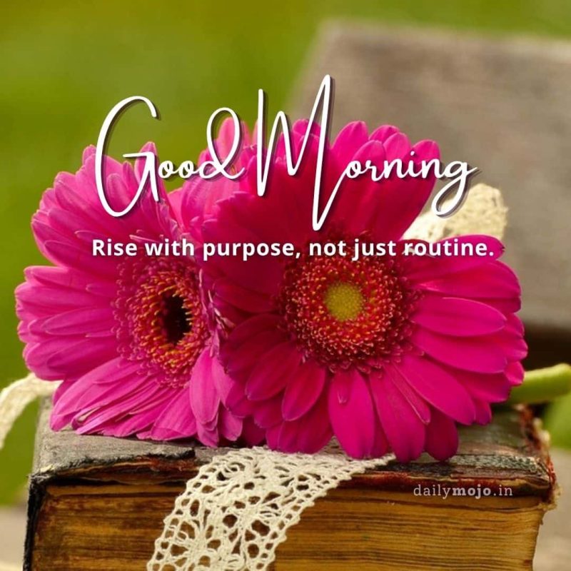 Rise with purpose, not just routine. Good morning!