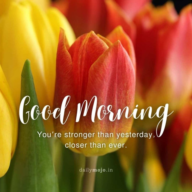 Good morning! You’re stronger than yesterday, closer than ever.