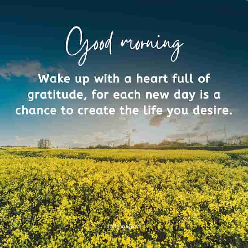 Wake up with a heart full of gratitude, for each new day is a chance to create the life you desire. Good morning!