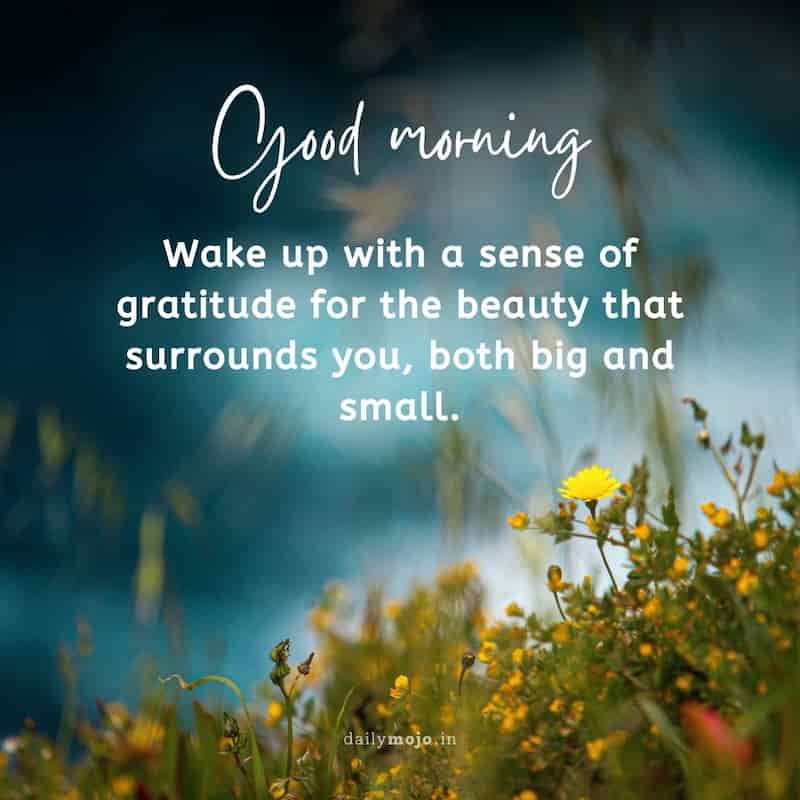 Wake up with a sense of gratitude for the beauty that surrounds you, both big and small. Good morning!
