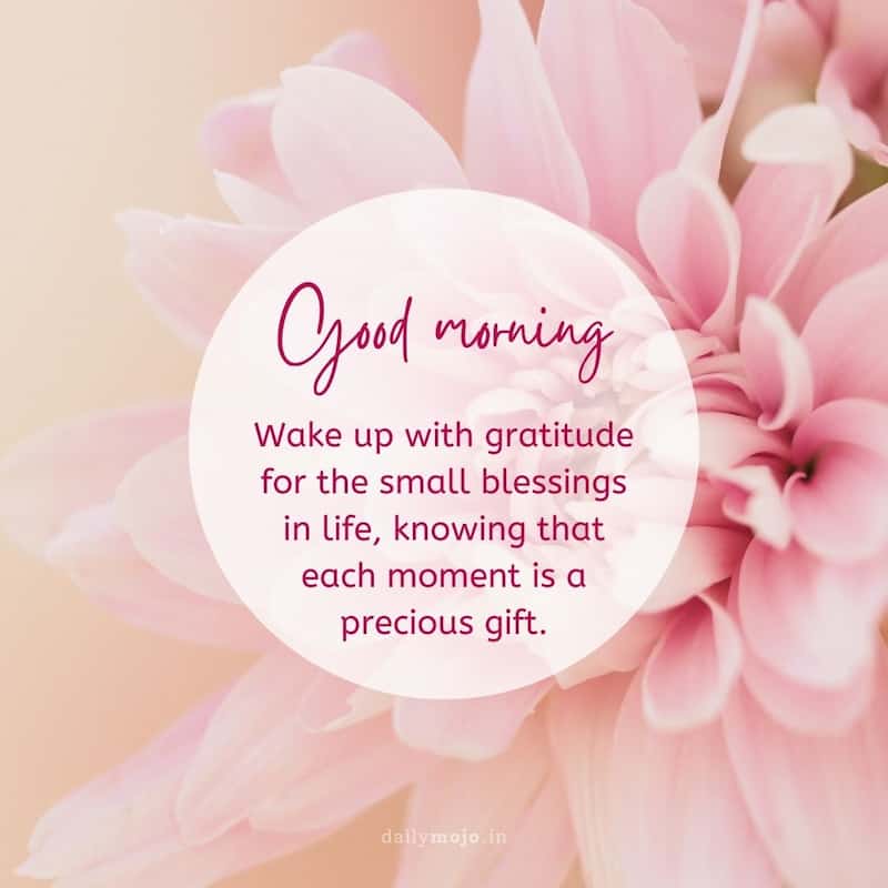 Wake up with gratitude for the small blessings in life, knowing that each moment is a precious gift. Good morning!