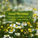 Best 100+ Good Morning Flower Images, Wishes and Quotes