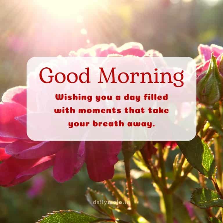 Wishing you a day filled with moments that take your breath away. Good morning!