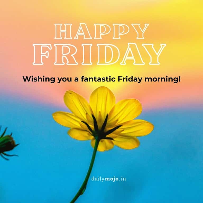 Wishing you a fantastic Friday morning!