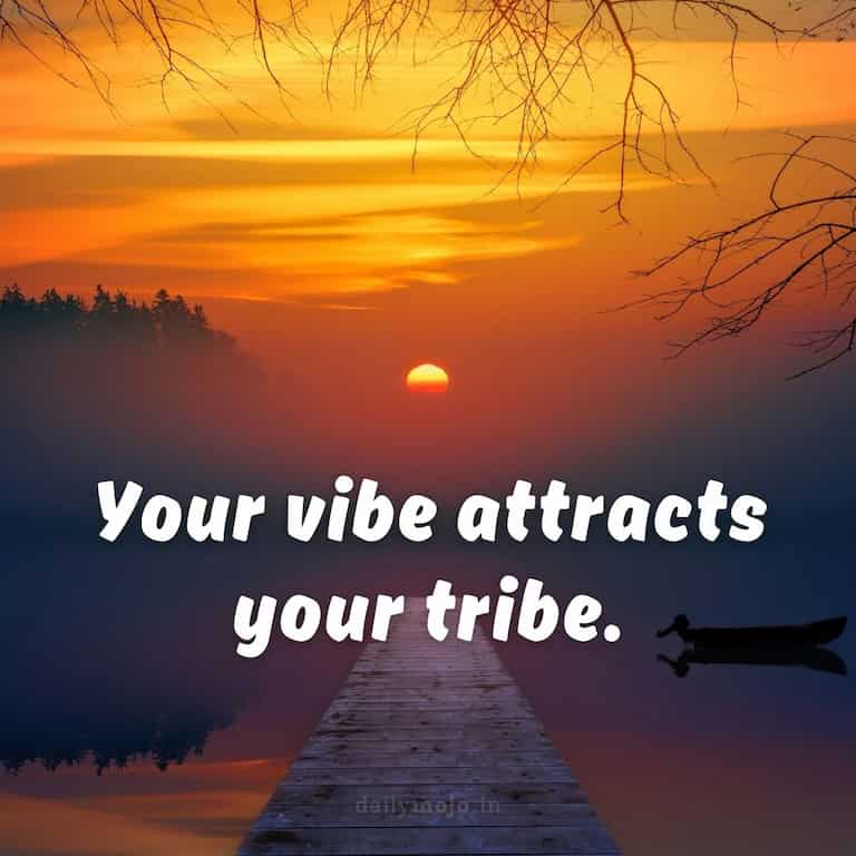 Your vibe attracts your tribe