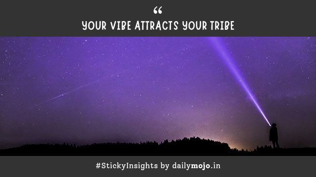 Your Vibe Attracts Your Tribe